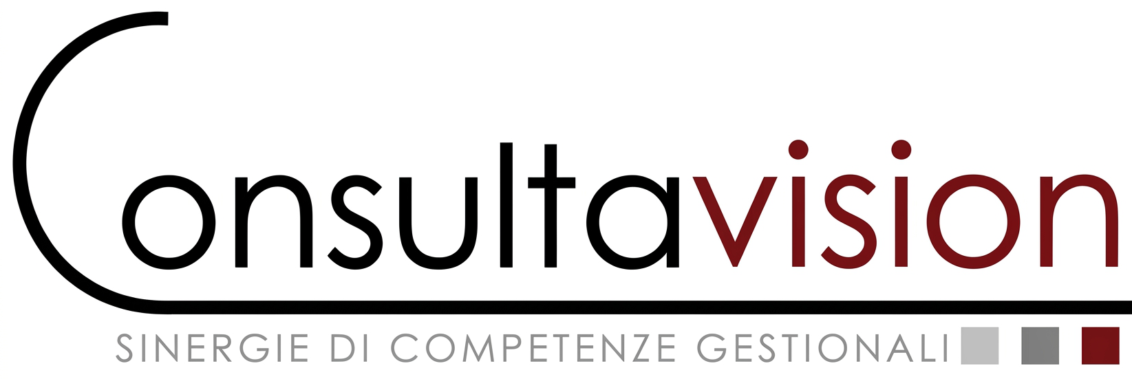 Consulta Vision